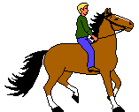 Nauka jazdy konnej