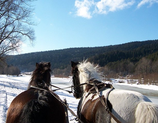 Zimowe ferie jeździeckie