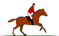 Jazda konna