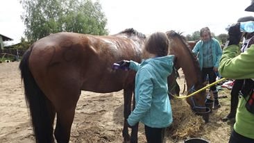 Nad Wisłokiem koło Łańcuta