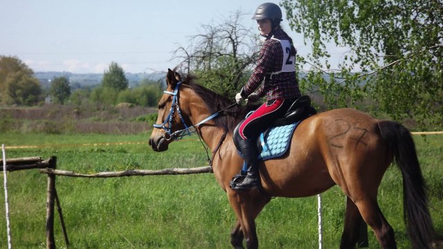 Nad Wisłokiem koło Łańcuta