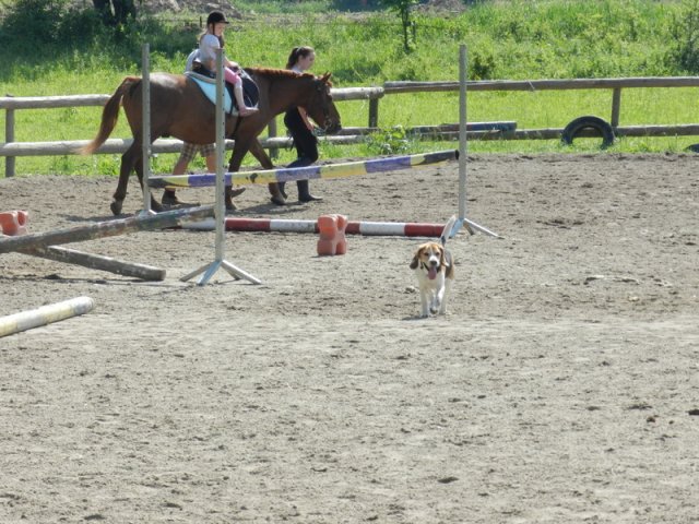 Dzień Dziecka 2016