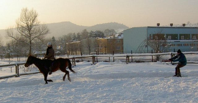 Ferie zimowe w SJK Hucuł