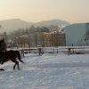 Ferie zimowe w SJK Hucuł