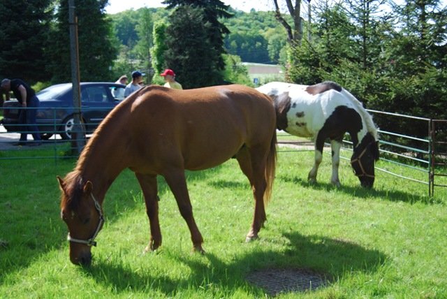 Harbutowice 2011