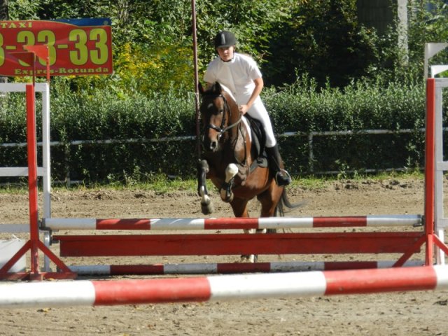 Zawody w KKJ w Krakowie SJK Hucuł
