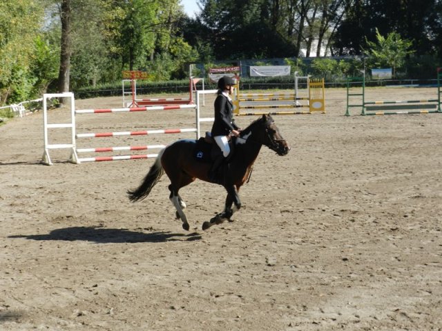 Zawody w KKJ w Krakowie SJK Hucuł