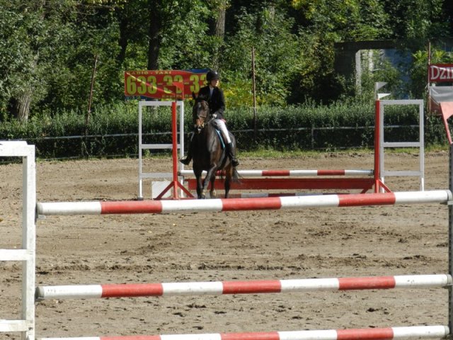Zawody w KKJ w Krakowie SJK Hucuł