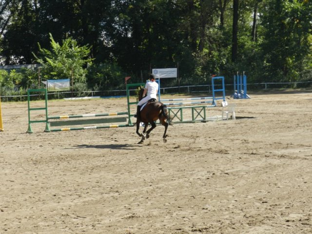 Zawody w KKJ w Krakowie SJK Hucuł