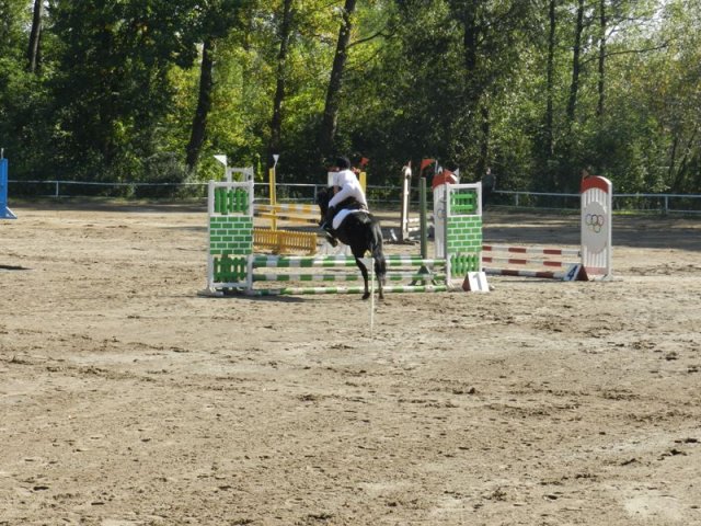 Zawody w KKJ w Krakowie SJK Hucuł