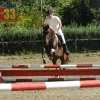 Inne galerie foto » Zawody i konkursy SJK Hucuł » KKJ