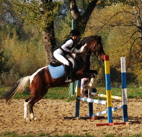 Pokaz kaskaderski SJK Hucuł