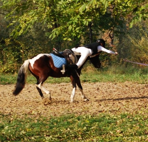 Pokaz kaskaderski SJK Hucuł