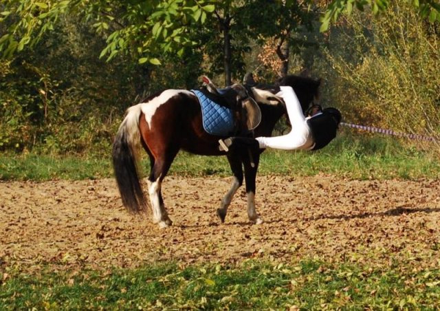 Pokaz kaskaderski SJK Hucuł
