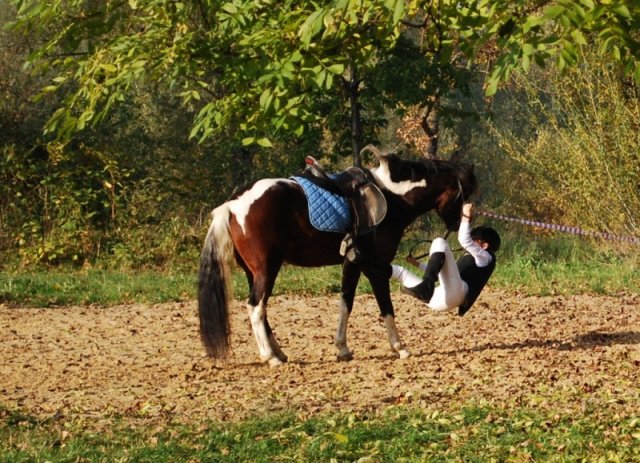 Pokaz kaskaderski SJK Hucuł