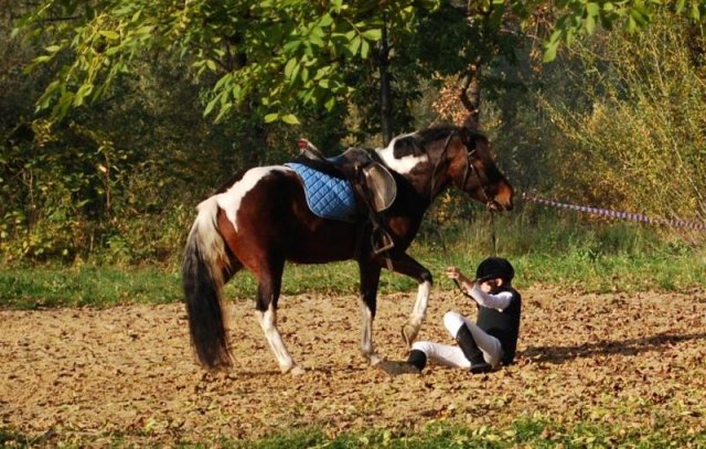 Pokaz kaskaderski SJK Hucuł
