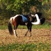 Pokaz kaskaderski SJK Hucuł