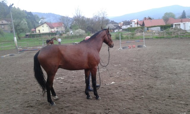 Diament