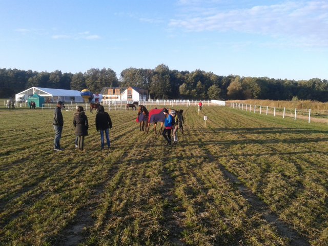 Odporyszów 2015
