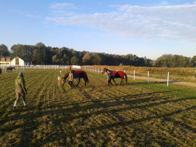 Odporyszów 2015