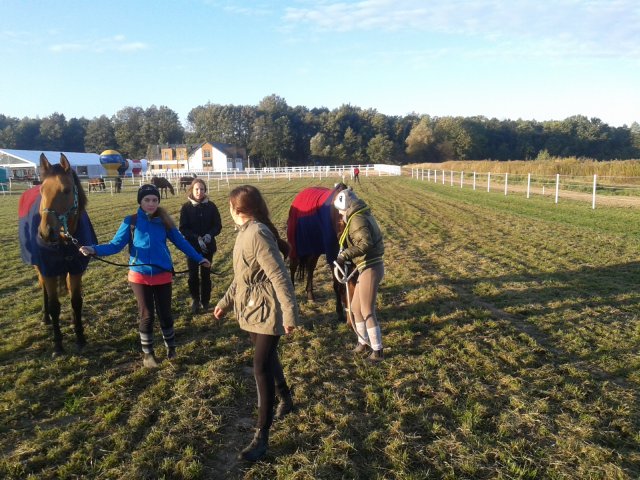 Odporyszów 2015