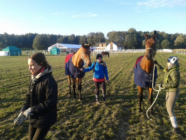 Odporyszów 2015
