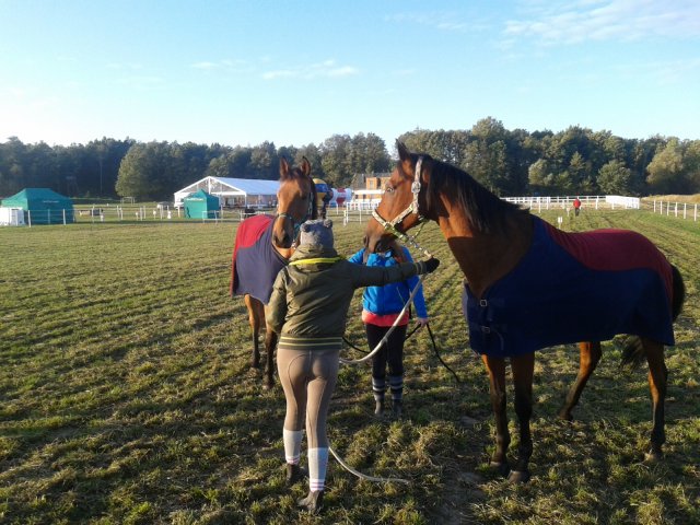 Odporyszów 2015