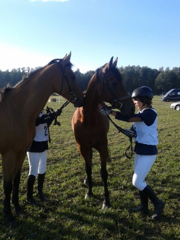 Odporyszów 2015