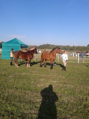 Odporyszów 2015