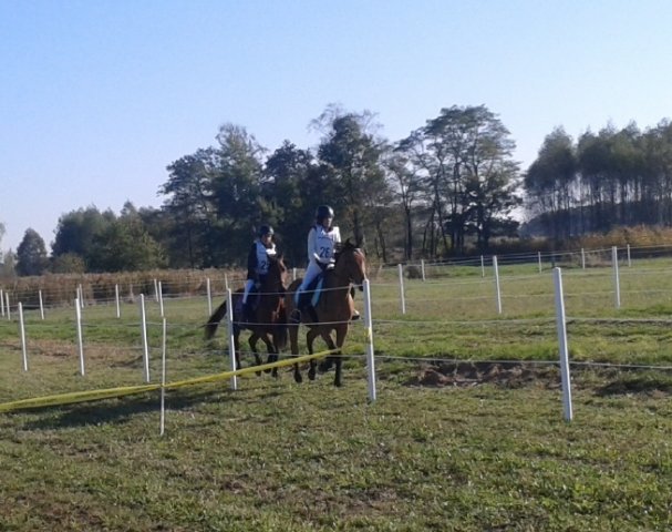 Odporyszów 2015