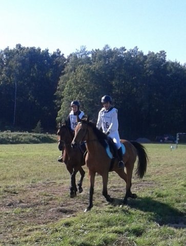 Odporyszów 2015