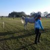 Odporyszów 2015