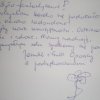 Nasze referencje SJK Hucuł