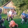Wakacje Kudłacze i inne