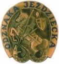 Odznaka PZJ